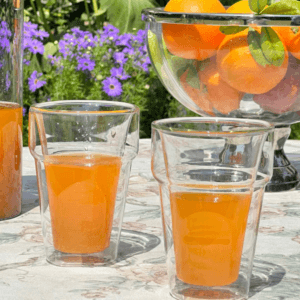 HDE_Double Walled Glasses S4_TTGL0221