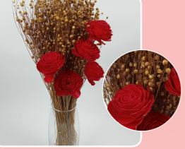 HDF_DryFlower_Red_111027