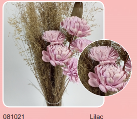 HDF_DryFlower_Lilac_81021