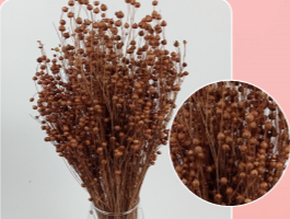 HDF_DryFlower_LightBrown_51013