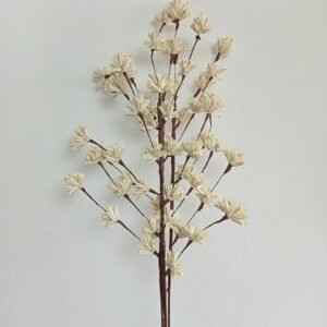 HDF_ DryFlower_Shola Sesame Stick