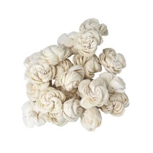 HDF_ DryFlower_Shell Flower Bag