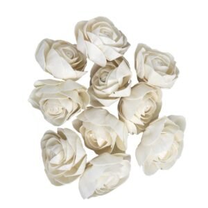 HDF_ DryFlower_Shola Beauty Rose 4cm Bag