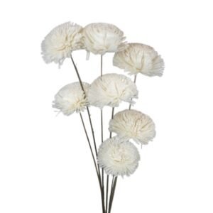 HDF_ DryFlower_Shola Half Kadam