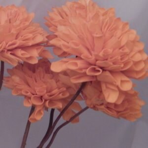 HDF_ DryFlower_Shola Dahlia Orange